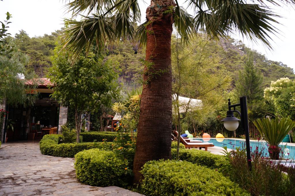 Hotel Dalos เกอเจค ห้อง รูปภาพ