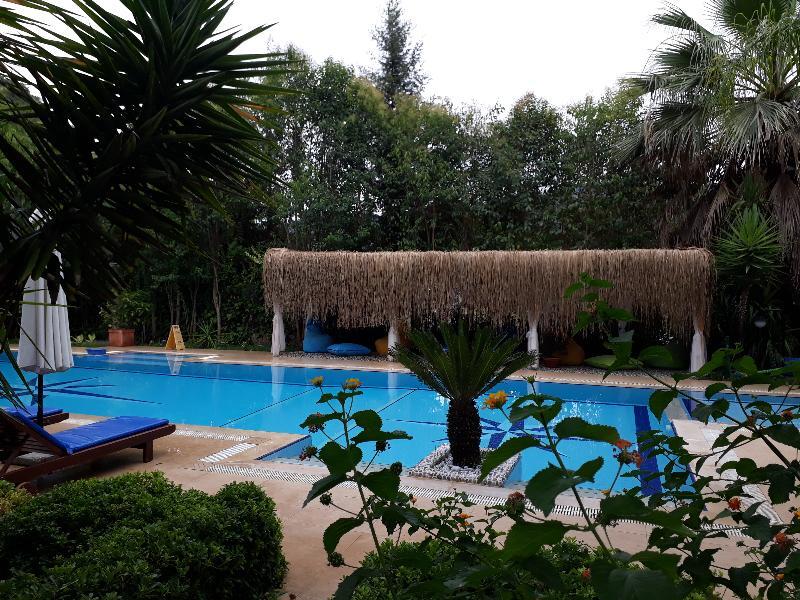 Hotel Dalos เกอเจค ภายนอก รูปภาพ